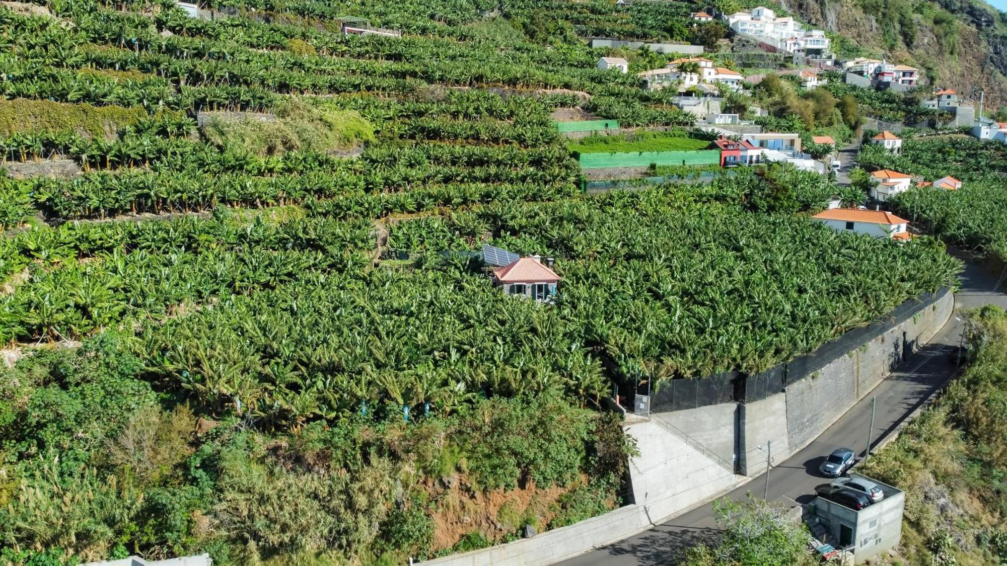Casa Dos Anjos Villa Ponta do Sol  Exteriör bild